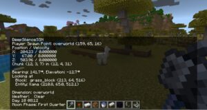 Bedrock Debug Screen