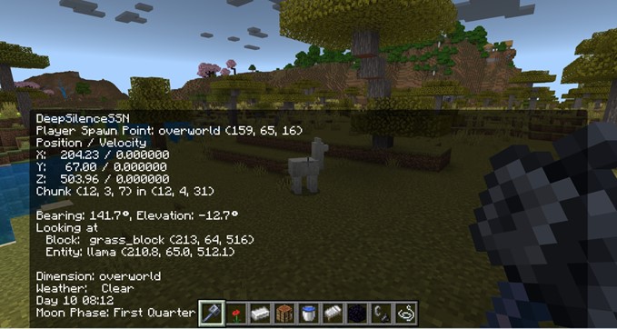 Bedrock Debug Screen